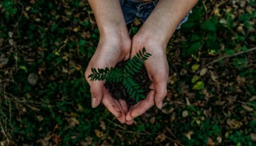 Corporate-Board-Member-Dec-2021-Sustainability-Noah-Buscher