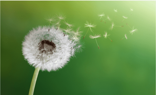 GreenBiz-July-2021-Greenwashing-Shutterstock